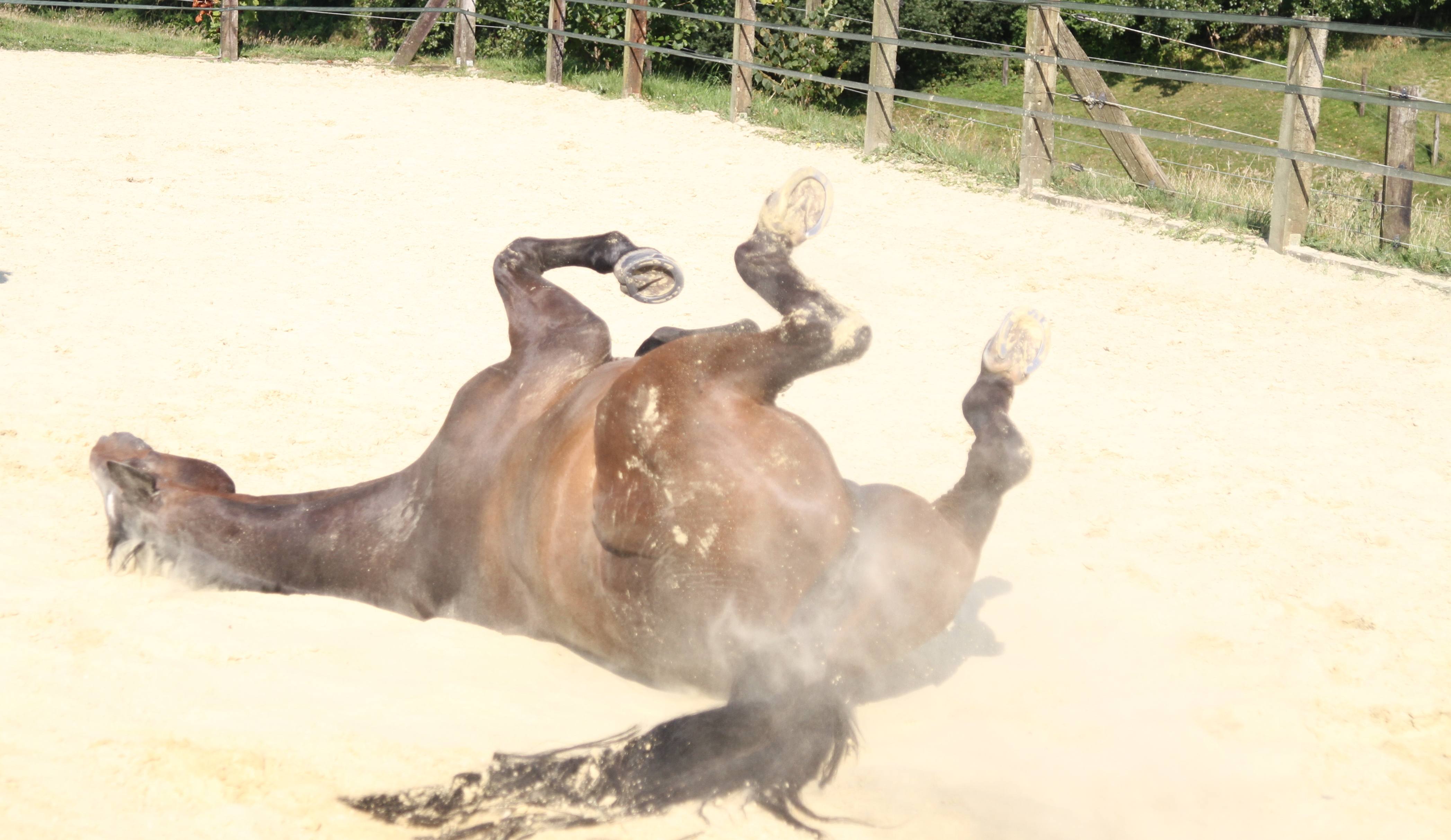 Ich wälze mich im Sand. Das ist irgendwie auch Turnen. auch