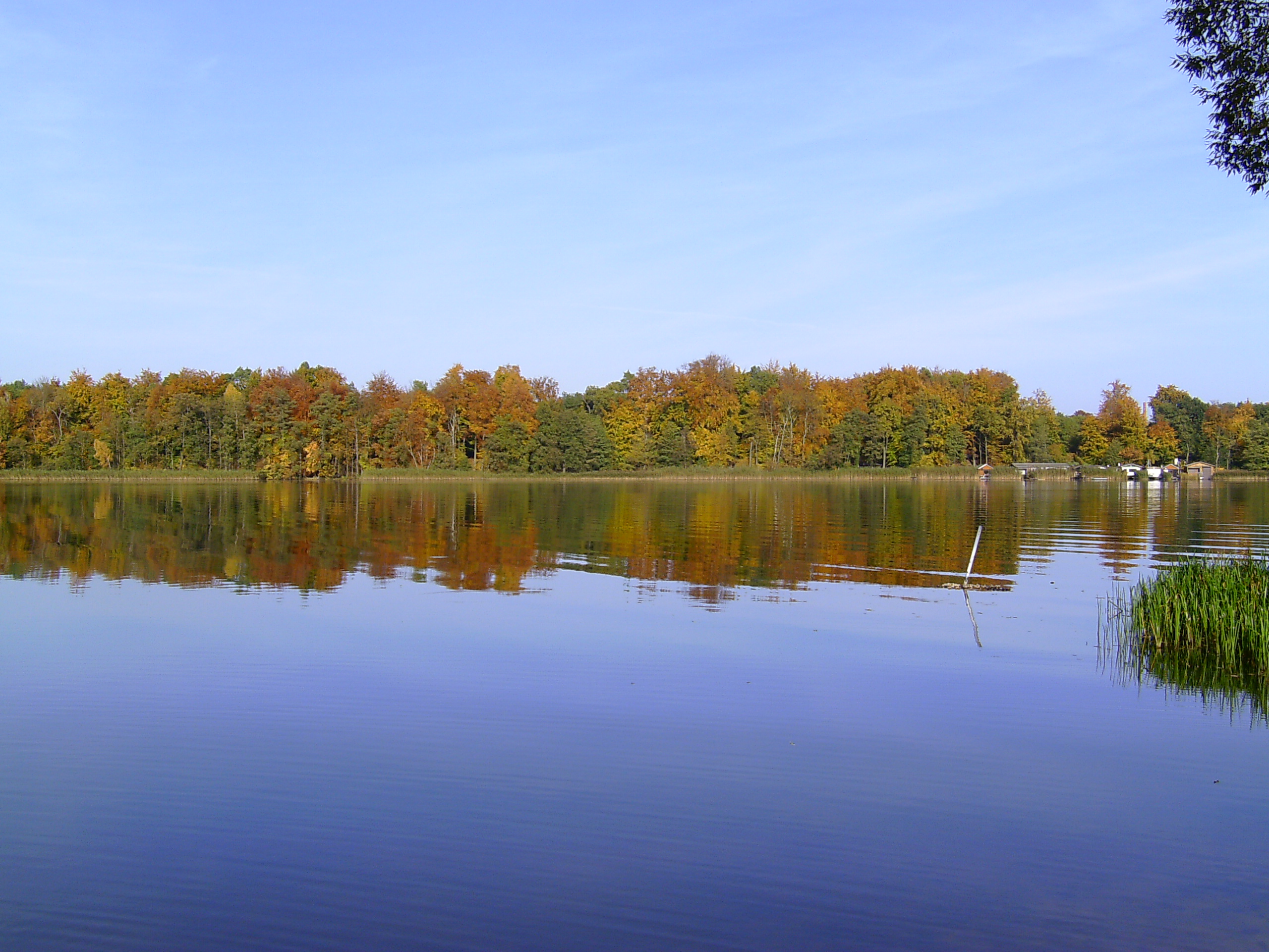 Ein See. Blauer Himmel. Im Hintergrund Bäume.