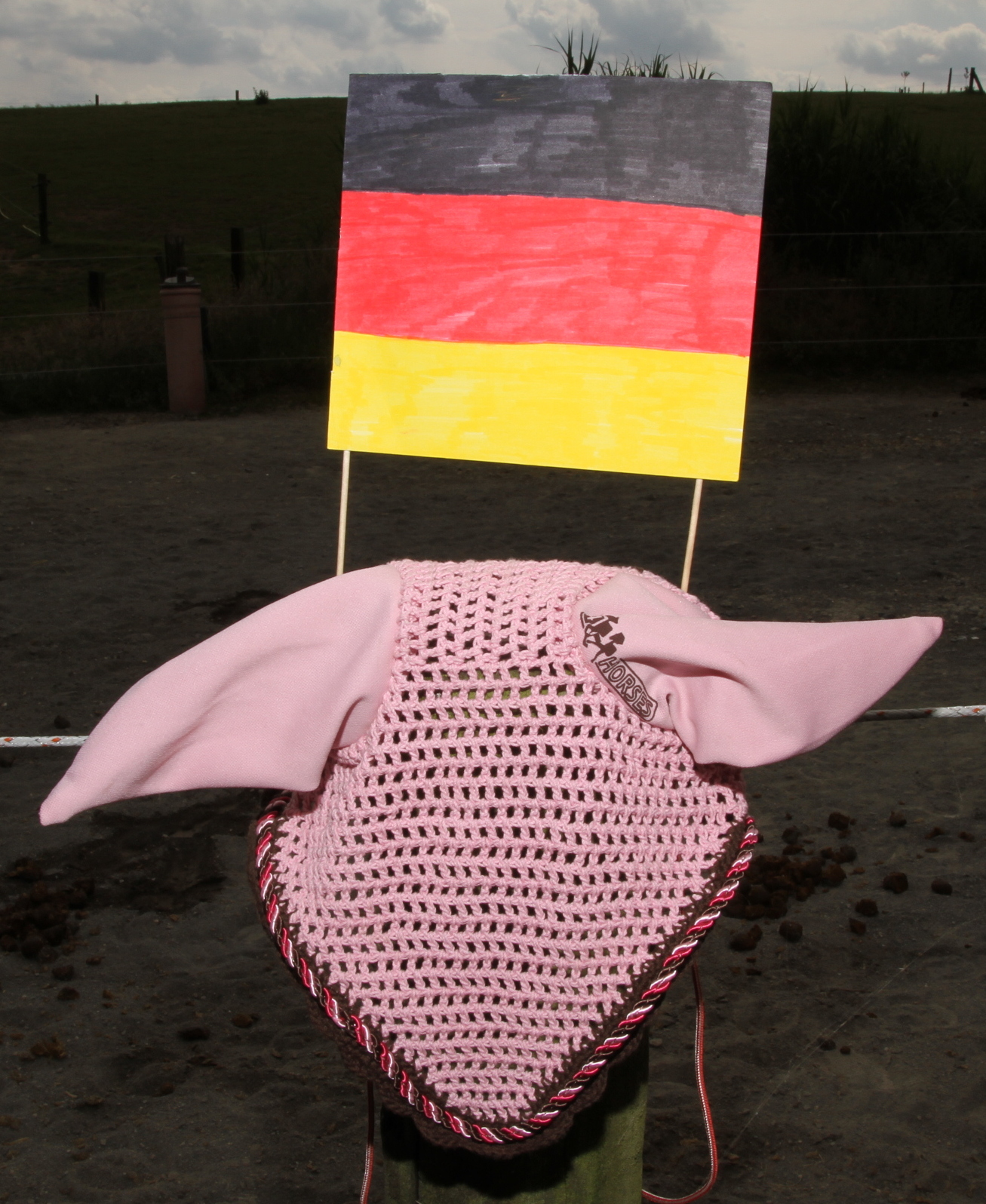 Ein Deutschland-Fähnchen über einem rosa Fliegenhäubchen für Pferde