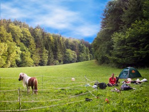 Zelten mit Pony