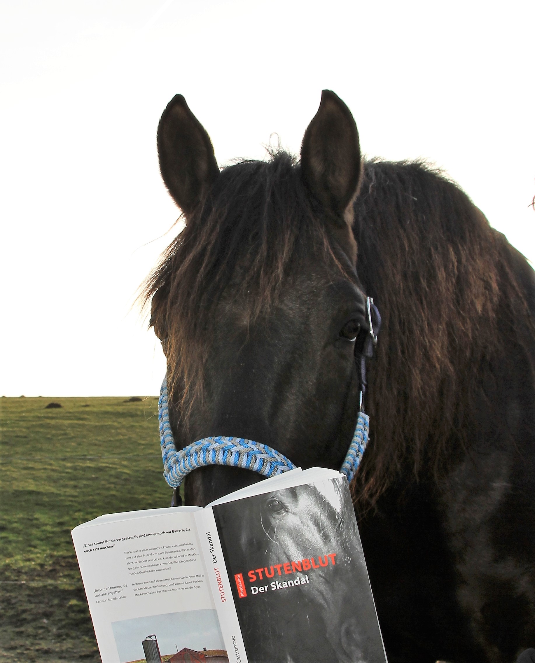 Lucero hält seine Nase in ein Buch und tut so, als könne er lesen