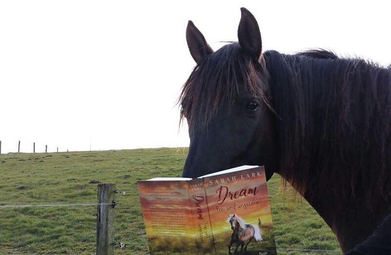 Der Lutschi liest ein Buch