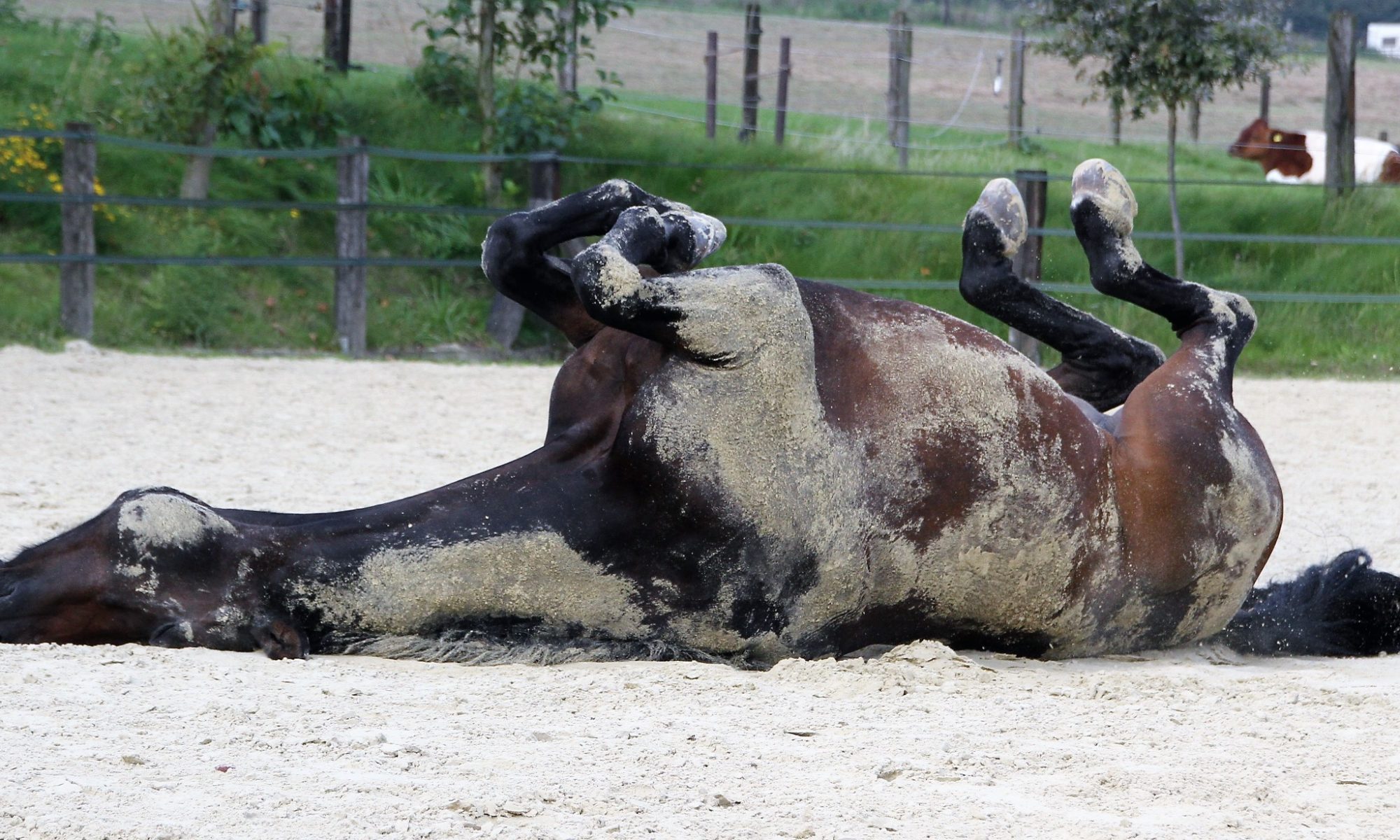 Sand in den Ohren