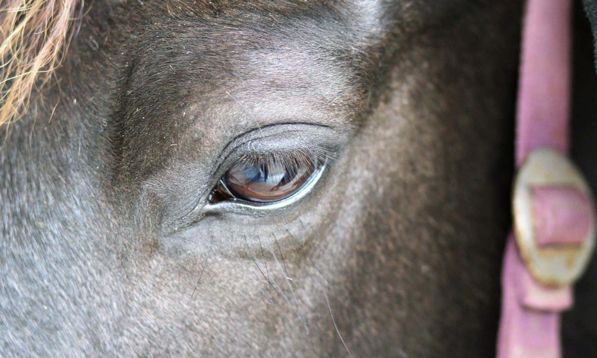 Nachdenklicher Blick