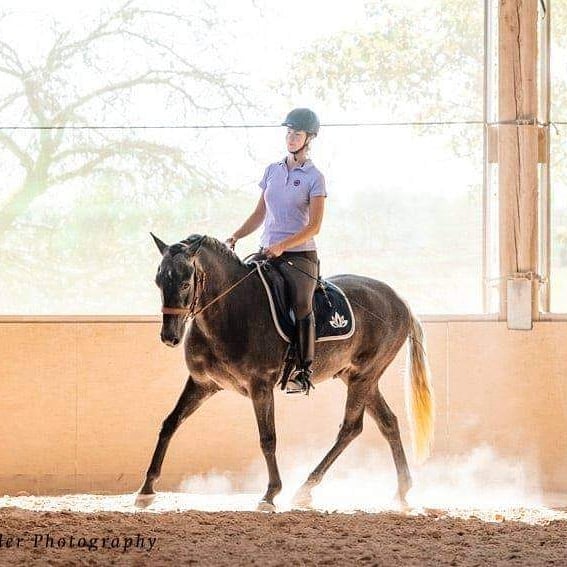 Frau Osteo mit ihrem Lusitano Vince