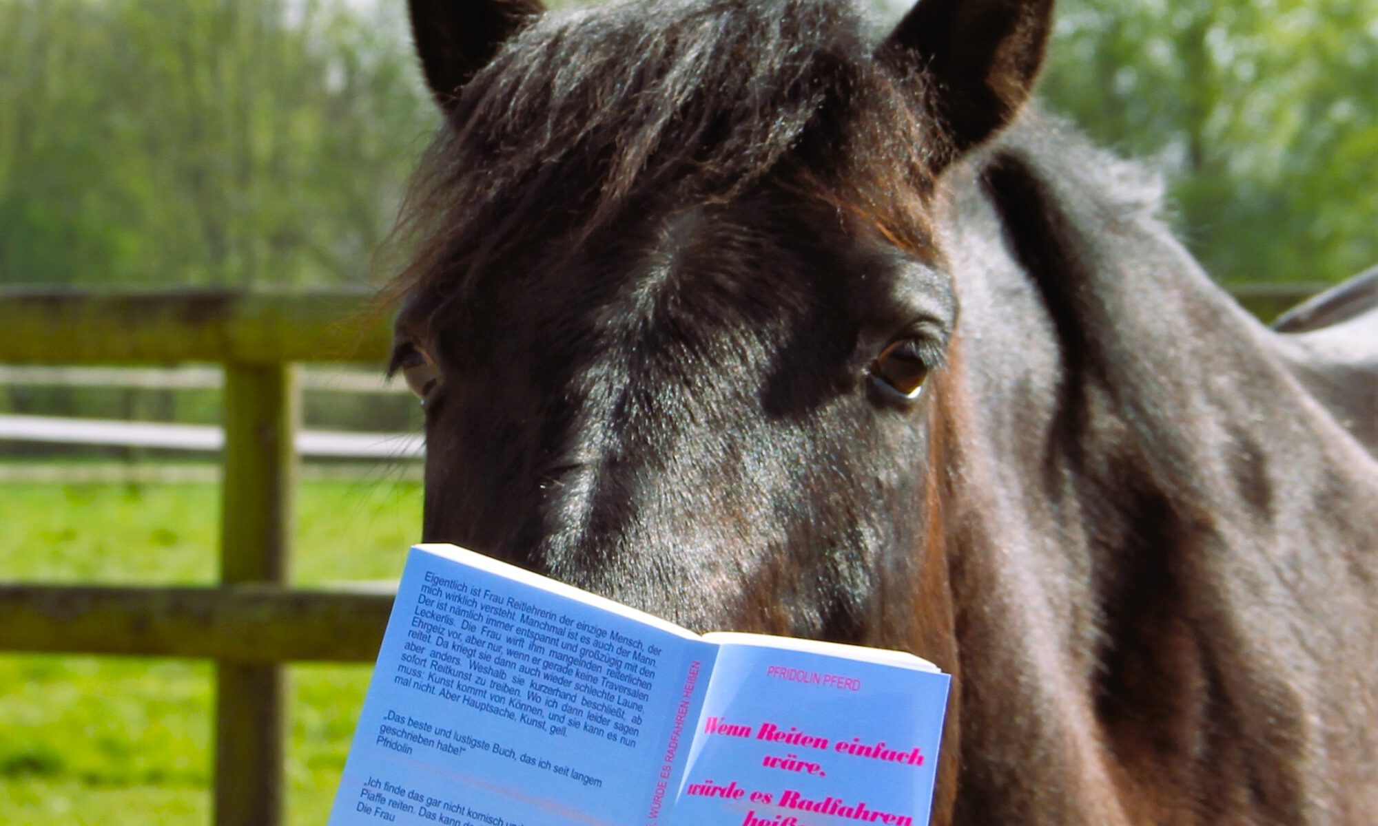 Ein Pferd liest ein Buch mit dem Titel "Wenn Reiten einfach wäre, würde es Radfahren heißen".
