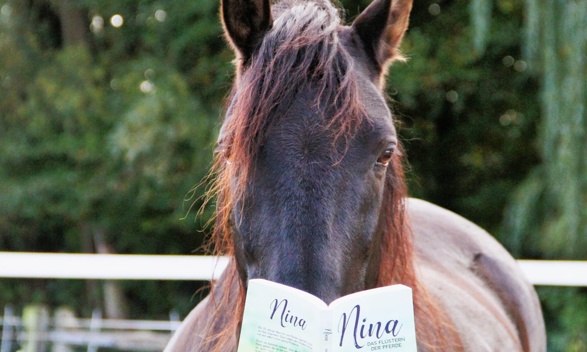 Das spanische Mähnenwunder liest "Nina - Das Flüstern der Pferde"